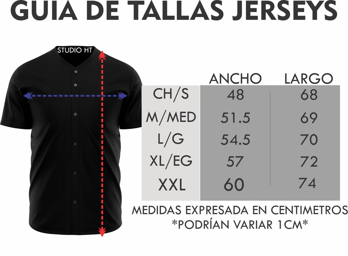 CAMISOLA JERSEY BASEBALL TECOS DE LOS DOS LAREDOS