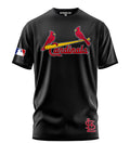 Playera Manga Corta 100% Algodón Arizona Cardinals